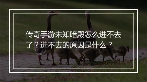 传奇手游未知暗殿怎么进不去了？进不去的原因是什么？