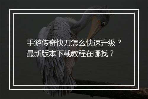 手游传奇快刀怎么快速升级？最新版本下载教程在哪找？