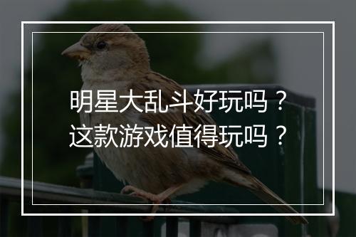 明星大乱斗好玩吗？这款游戏值得玩吗？