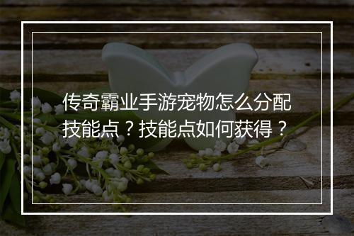 传奇霸业手游宠物怎么分配技能点？技能点如何获得？