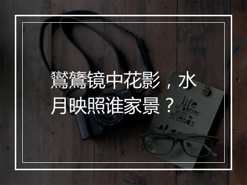 鸑鷟镜中花影，水月映照谁家景？