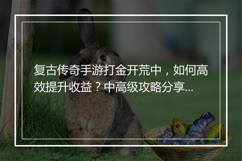 复古传奇手游打金开荒中，如何高效提升收益？中高级攻略分享？
