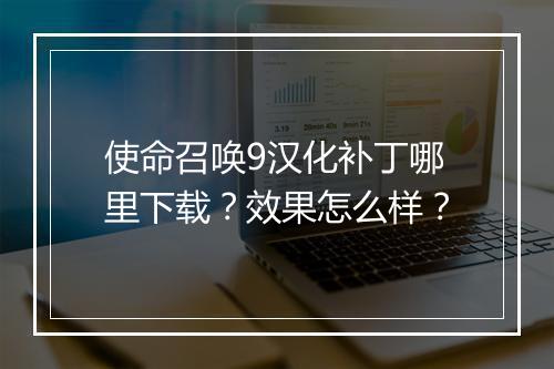 使命召唤9汉化补丁哪里下载？效果怎么样？
