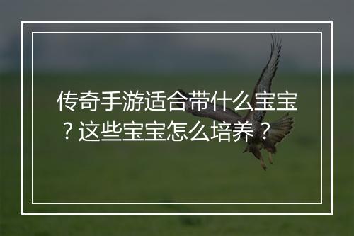 传奇手游适合带什么宝宝？这些宝宝怎么培养？