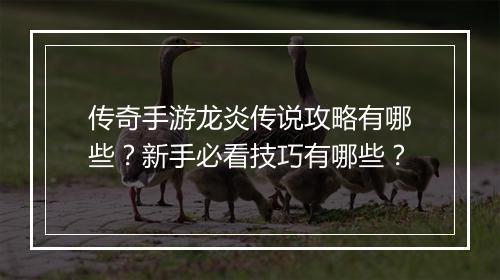 传奇手游龙炎传说攻略有哪些？新手必看技巧有哪些？