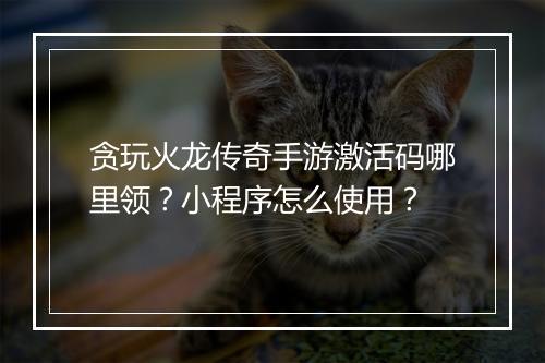 贪玩火龙传奇手游激活码哪里领？小程序怎么使用？