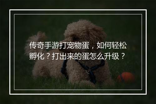 传奇手游打宠物蛋，如何轻松孵化？打出来的蛋怎么升级？