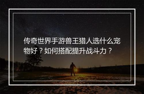 传奇世界手游兽王猎人选什么宠物好？如何搭配提升战斗力？
