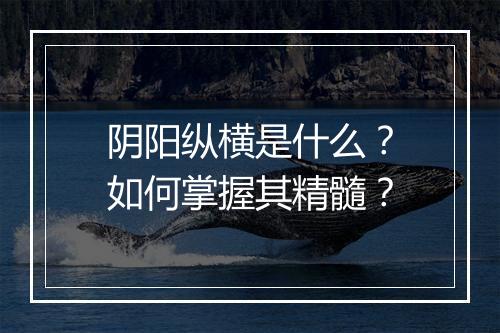 阴阳纵横是什么？如何掌握其精髓？