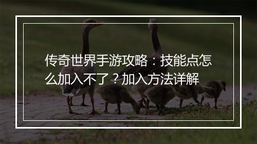 传奇世界手游攻略：技能点怎么加入不了？加入方法详解