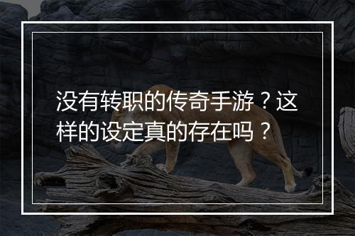 没有转职的传奇手游？这样的设定真的存在吗？