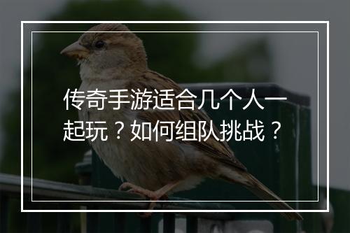 传奇手游适合几个人一起玩？如何组队挑战？