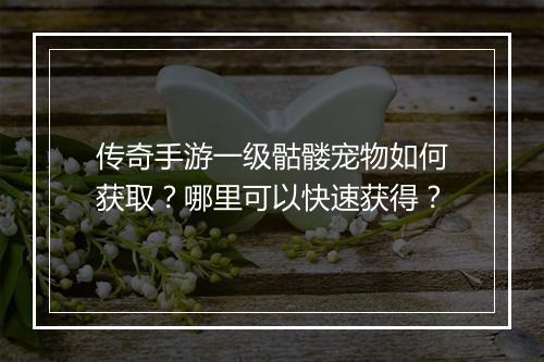 传奇手游一级骷髅宠物如何获取？哪里可以快速获得？