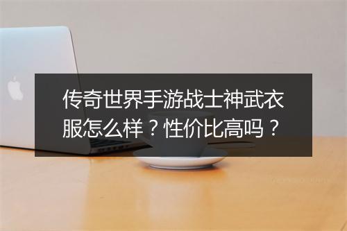 传奇世界手游战士神武衣服怎么样？性价比高吗？