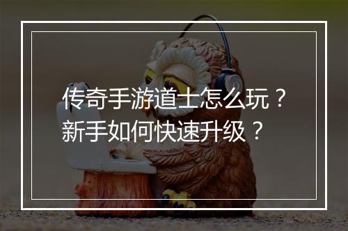 传奇手游道士怎么玩？新手如何快速升级？