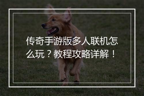 传奇手游版多人联机怎么玩？教程攻略详解！