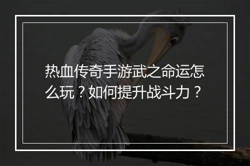 热血传奇手游武之命运怎么玩？如何提升战斗力？