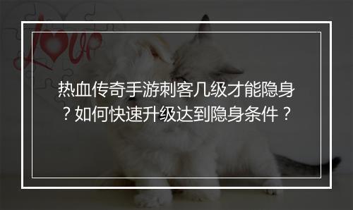 热血传奇手游刺客几级才能隐身？如何快速升级达到隐身条件？