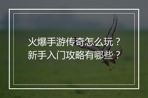 火爆手游传奇怎么玩？新手入门攻略有哪些？