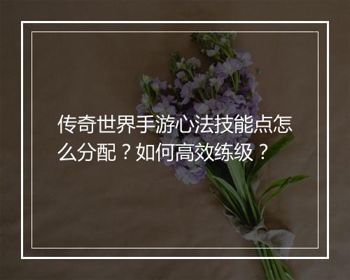 传奇世界手游心法技能点怎么分配？如何高效练级？