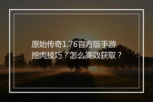 原始传奇1.76官方版手游挖肉技巧？怎么高效获取？