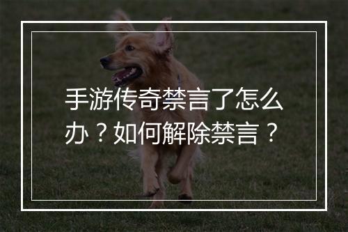 手游传奇禁言了怎么办？如何解除禁言？