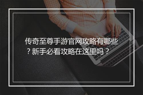 传奇至尊手游官网攻略有哪些？新手必看攻略在这里吗？