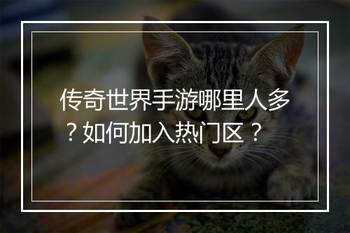 传奇世界手游哪里人多？如何加入热门区？