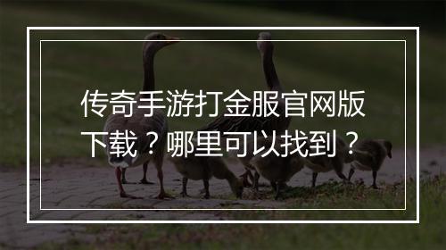 传奇手游打金服官网版下载？哪里可以找到？