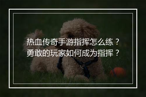 热血传奇手游指挥怎么练？勇敢的玩家如何成为指挥？