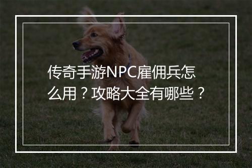 传奇手游NPC雇佣兵怎么用？攻略大全有哪些？