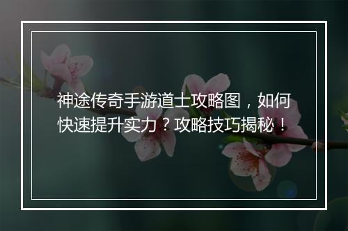 神途传奇手游道士攻略图，如何快速提升实力？攻略技巧揭秘！