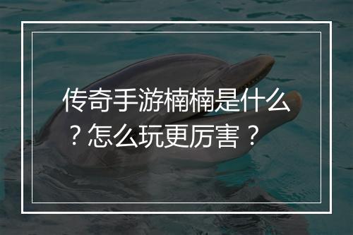 传奇手游楠楠是什么？怎么玩更厉害？