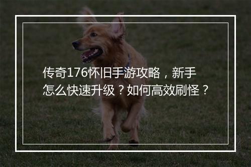 传奇176怀旧手游攻略，新手怎么快速升级？如何高效刷怪？