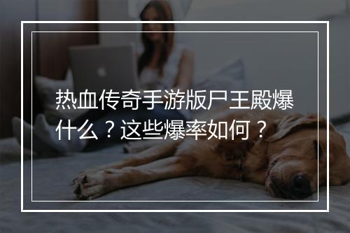热血传奇手游版尸王殿爆什么？这些爆率如何？