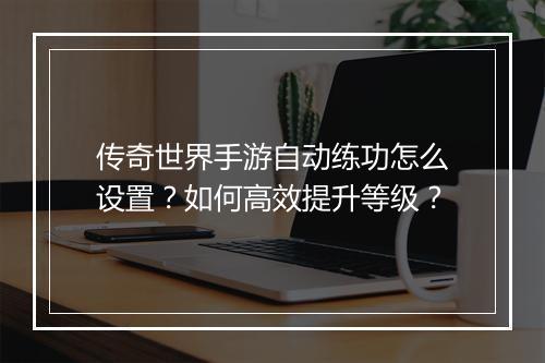 传奇世界手游自动练功怎么设置？如何高效提升等级？