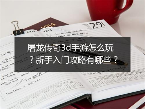 屠龙传奇3d手游怎么玩？新手入门攻略有哪些？