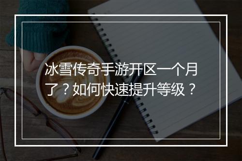冰雪传奇手游开区一个月了？如何快速提升等级？