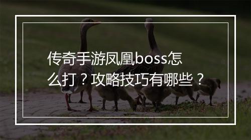 传奇手游凤凰boss怎么打？攻略技巧有哪些？