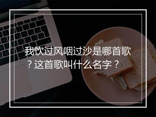 我饮过风咽过沙是哪首歌？这首歌叫什么名字？