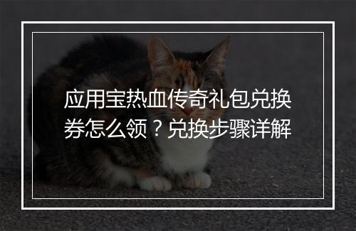应用宝热血传奇礼包兑换券怎么领？兑换步骤详解