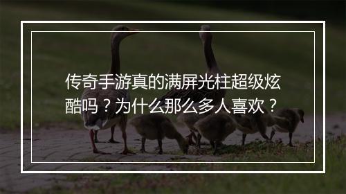 传奇手游真的满屏光柱超级炫酷吗？为什么那么多人喜欢？