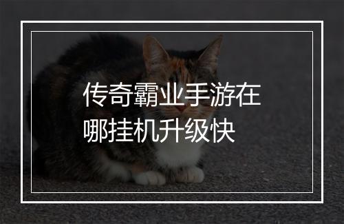 传奇霸业手游在哪挂机升级快