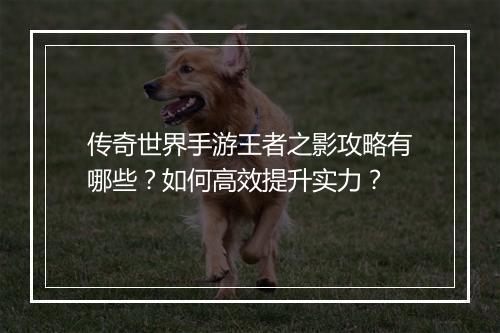 传奇世界手游王者之影攻略有哪些？如何高效提升实力？