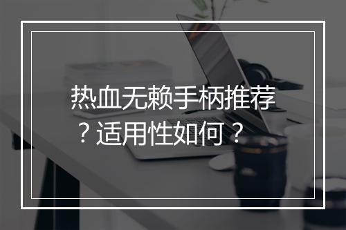 热血无赖手柄推荐？适用性如何？