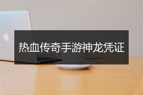 热血传奇手游神龙凭证