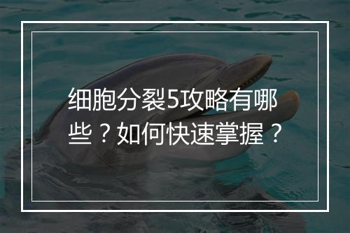 细胞分裂5攻略有哪些？如何快速掌握？
