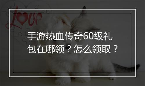 手游热血传奇60级礼包在哪领？怎么领取？