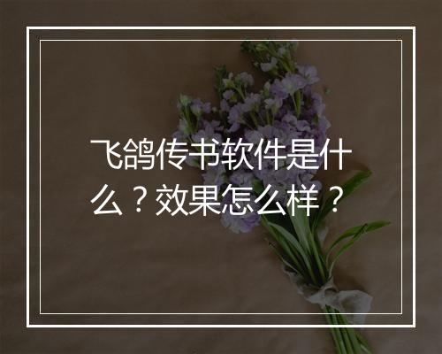 飞鸽传书软件是什么？效果怎么样？