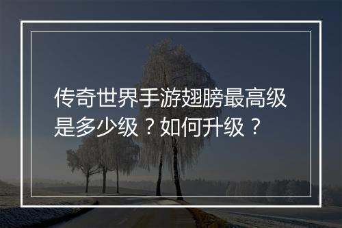 传奇世界手游翅膀最高级是多少级？如何升级？